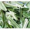HERBAL DRIED PANDAN LE...