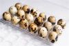 WHOLE CANNED PEELED QU...