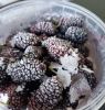 PREMIUM FROZEN MULBERR...