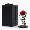 Wholesale preserved decorative roses flower in glass
