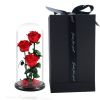 Wholesale preserved decorative roses flower in glass