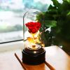 Latest preserved rose dried flower with led light in glass dome led