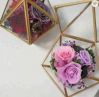 Wholesale preserved stabilised eternal rose flowers in glass dome