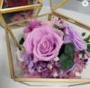Wholesale preserved stabilised eternal rose flowers in glass dome