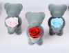Festival gift prserved valentine's day gift flowers rose Teddy bear ro