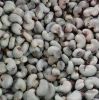 Quality Cashew Nuts An...