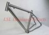 Titanium MTB Frame