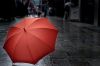 Stylish Umbrella for B...