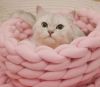 New Soft and Luxurious Cat Basket Style Bed