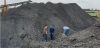 Steam Coal Bituminous ...