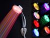 Display 7 Colors Change One Color Every 3 to 5 Seconds Led Shower Head