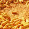 Natural Brazil Yellow Dried Maize/corn  for sale