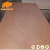 2- 25mm 1220- 2440mm Commercial Plywood Furniture Plywood