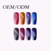 2018 new arrival free sample Cat Eye UV gel nail polish wholesale ODM/OEM