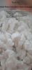 COTTON COMBERNOIL - WH...