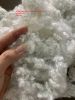 POLYESTER STAPLE FIBER...