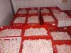 High Quality Chicken p...