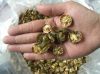 DRIED KUMQUAT FROM VIE...