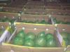 Grapefruit Green Skin,...