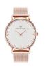 Rose gold watch