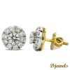 Diamond Earrings Ani