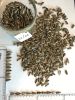 Striped sunflower seeds Dakota