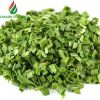China manufacturer supply dehydrated chives, dried chives