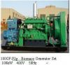 Biomass Generator Set