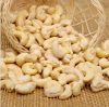 Wholesale Price of Cashew Nut