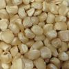 Natural Yellow Corn Maize at Bulk Price from Best Manufacture 