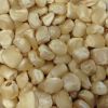 Premium Grade Dried Yellow corn for Human consumption/ Animal feed 