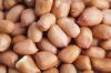 Java Peanut/Bold Peanut/Groundnut for sale 