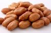 Buy raw blanched peanut split 