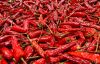 BEST COMPETITIVE PRICE HOT Dry Red Chilli 