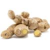 Wholesale Bulk Fresh Organic Ginger  in thailand 