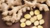 Organic fresh ginger peru/air dry ginger for sale 