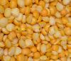 Yellow and Green Split Peas At Wholesale Price