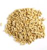 Malted Barley for sale, Feed Barley, Malt Barley Available