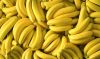 Premium Quality Fresh Bananas