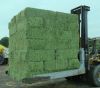 High Quality Animal Feed Alfalfa Hay 