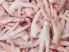 Clean Halal Chicken Feet / Frozen Chicken Paws Brazil / Fresh chicken wings and foot for sale 