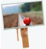 7 inch lcd display 800*480/1024*600/720*1280 IPS viewing with touch panel