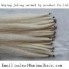 horse tail hair and pony tail hair  supplier  In China  