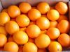 Fresh Orange, Navel &amp; Valencia Orange