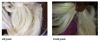 Sisal fiber from East ...