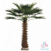 artificial palm tree