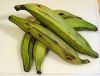 Fresh Green African plantain /Plantain for plantain chip