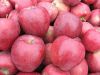 fresh apples