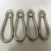 Stainless Steel Snap Hook with Eyelet