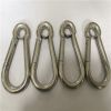 Stainless Steel Snap Hook with Eyelet